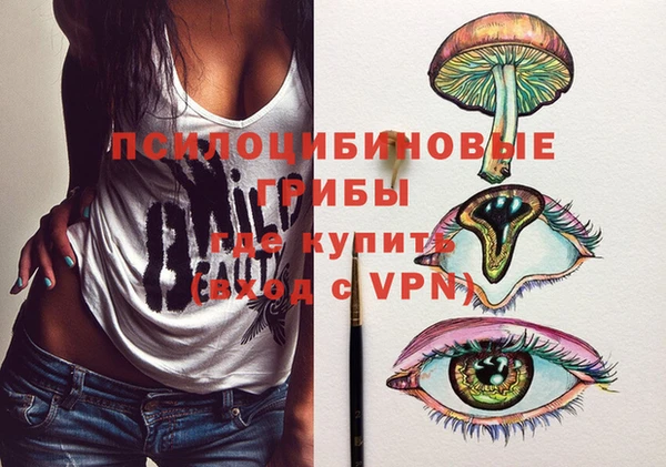 спиды Козельск