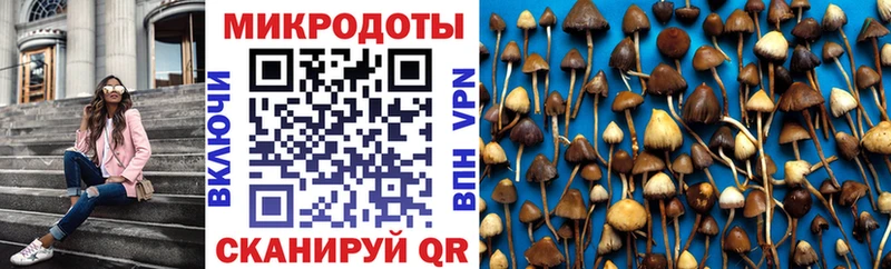 Купить где  Вышний Волочёк  Псилоцибиновые грибы Psilocybe 